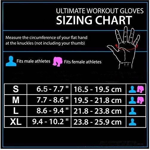 Sports Half Finger Fitness Gloves